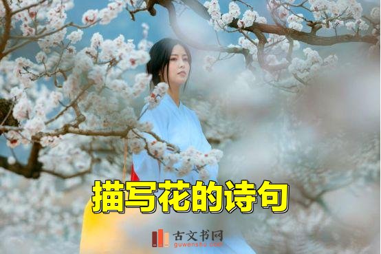 描写花的诗句