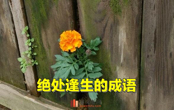 绝处逢生的成语