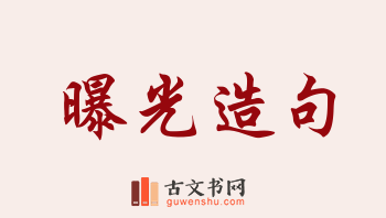 用曝光造句「曝光」相关的例句（共231条）