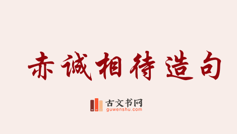 用赤诚相待造句「赤诚相待」相关的例句（共8条）