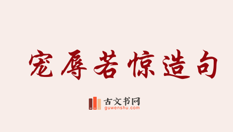 用宠辱若惊造句「宠辱若惊」相关的例句（共10条）